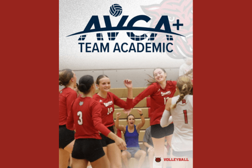 Ruston, Tech volleyball earn national academic honor from AVCA